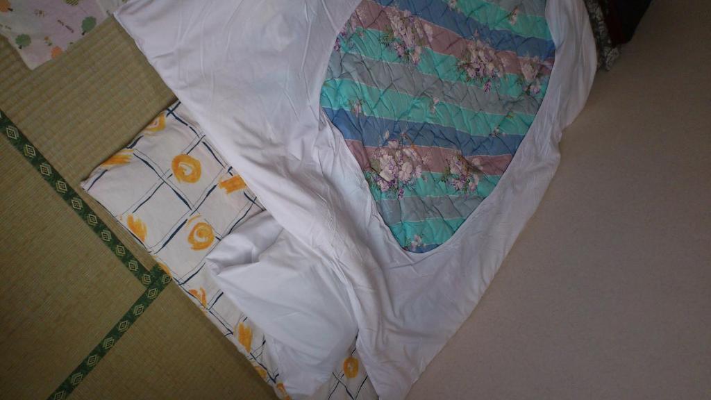 Hotel New Hakuginso NakaNakafurano Zimmer foto
